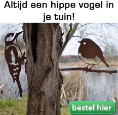 metalbird metalen vogel tuindecoratie roodborst specht uil