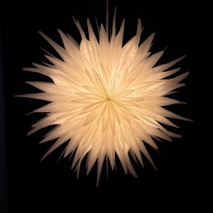Lichtdoorlatende Papieren Sneeuwbloem/Sneeuwvlok Ster 45 cm – Scandinavisch Design – Inclusief Verlichtingssnoer